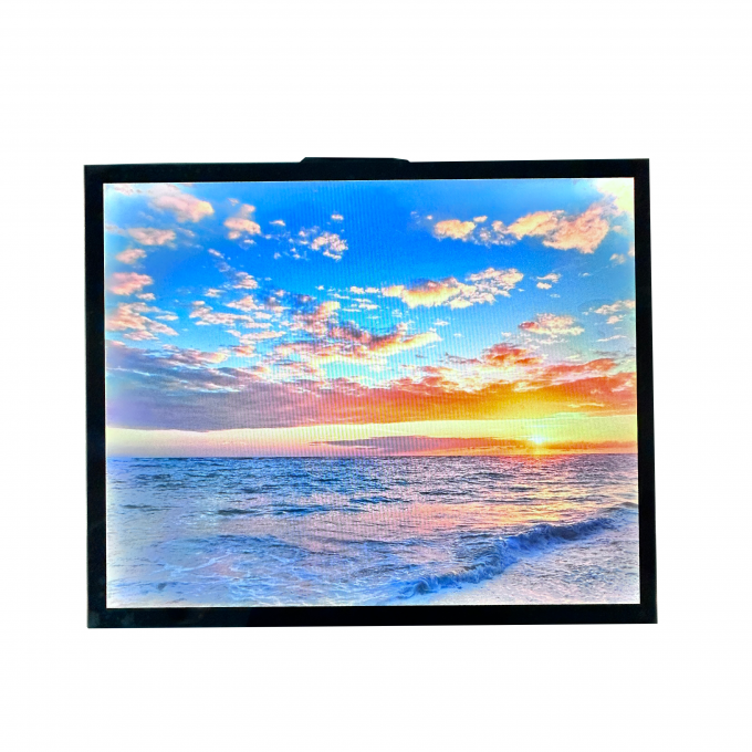 T-CON TFT LCD Modulo TFT Screen 19 pollici Tutto IPS Visualizzazione 470cd Luminosità 1