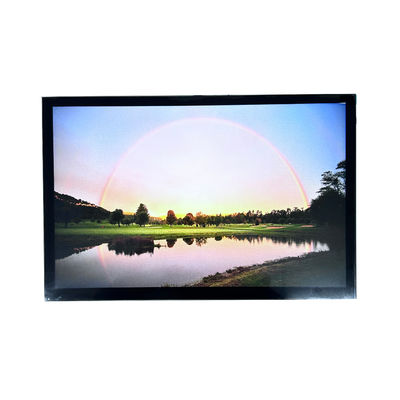 comprare IPS 1280*800 10,1 pollici HDTFT TFT LCD Module Display con interfaccia CTP LVDS online manufacture