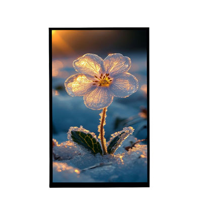 comprare 10.1 Inch Portrait Screen IPS Viewing 800x1280 Risoluzione Tft LCD Display Per Auto online manufacture
