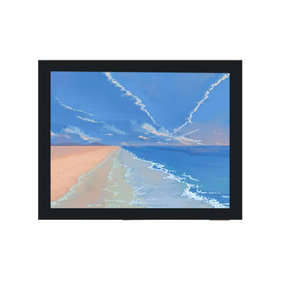 comprare 8.0 pollice Paesaggio Capacitive Touch Panel 1024 * 768 Risoluzione 1000nits 40pin LVDS Interfaccia TFT LCD Display per Mini Tablet online manufacture