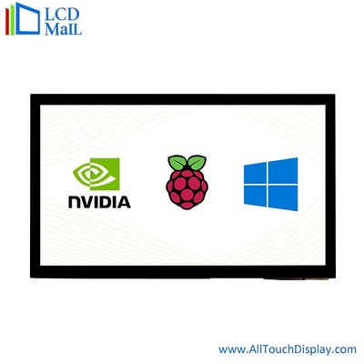 10.1 pollice Raspberry PI TFT Display Screen 500cd 1024*600 Multi Point Touch