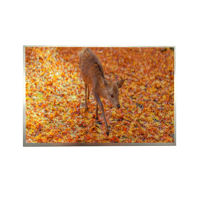 8' IPS FHD LVDS TFT Display 1000cd Luminosità 1920*1200 Risoluzione