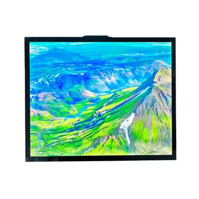 T-CON TFT LCD Modulo TFT Screen 19 pollici Tutto IPS Visualizzazione 470cd Luminosità