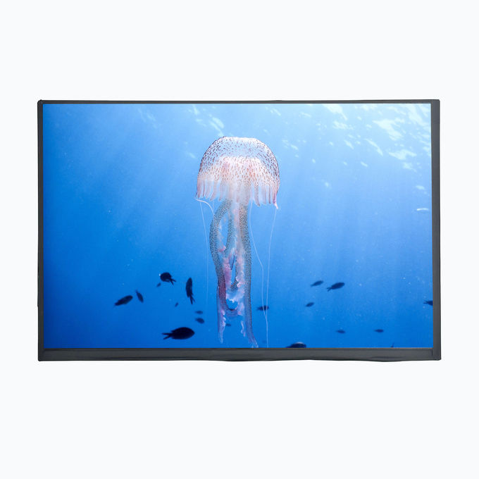 LCD Mall Display LCD TFT da 10,1 pollici con pannello touch EM 750cd/m2 Risoluzione 1280XRGBX800 0